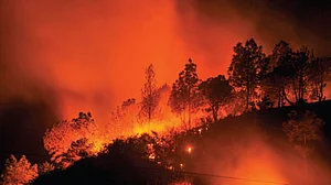 Sniff the smoke before the fire