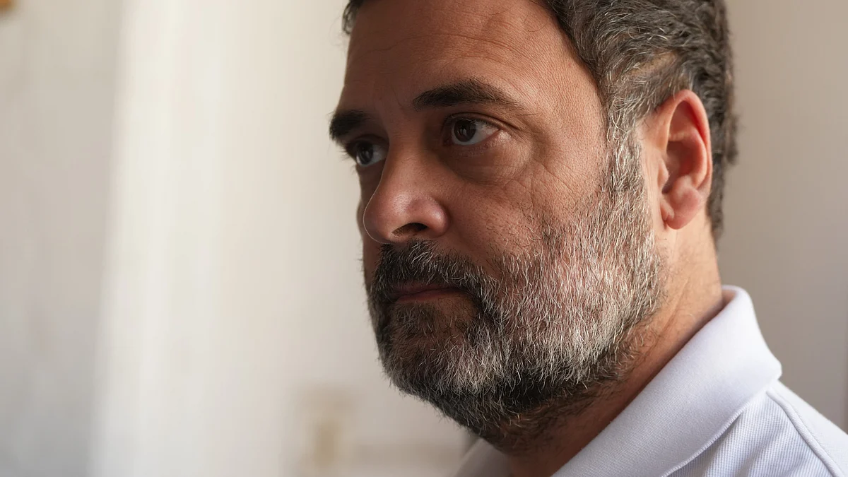 Congress leader Rahul Gandhi (photo: PTI)