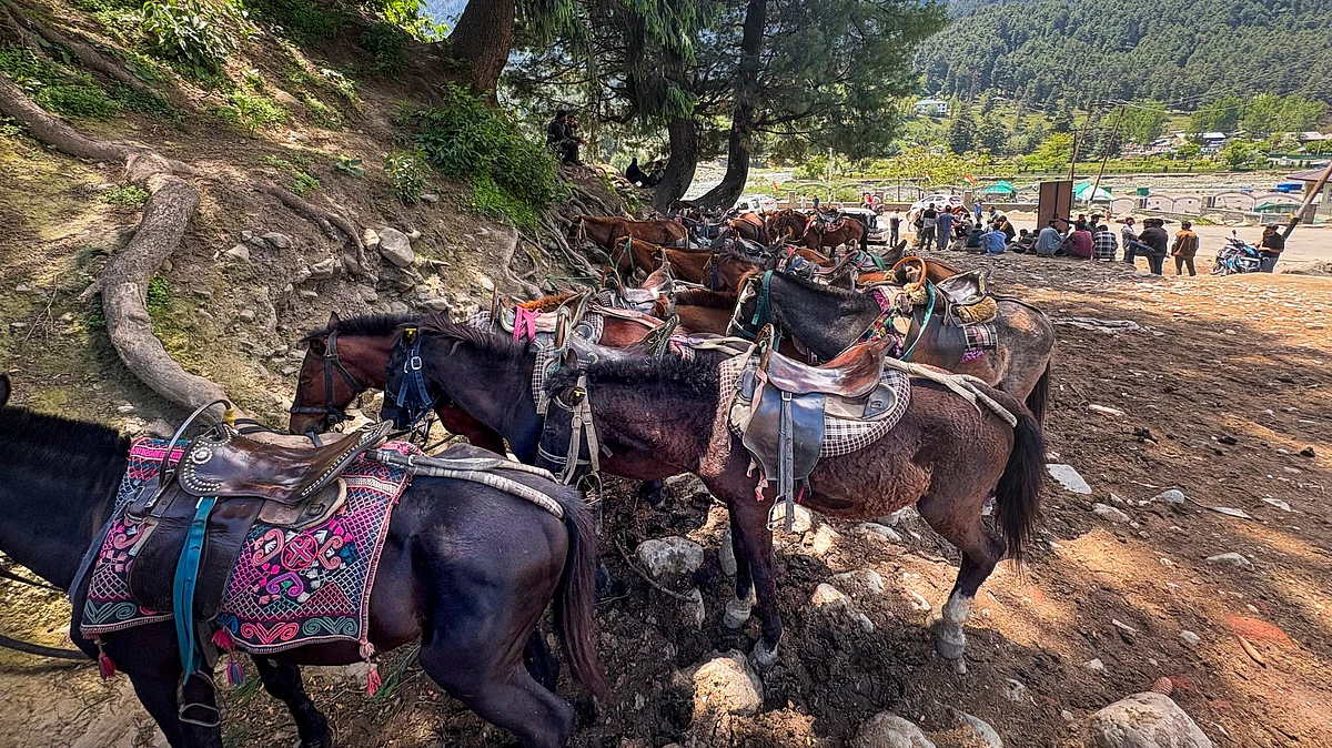 Pony operators wait for tourists in Anantnag on 15 May (photo: PTI)