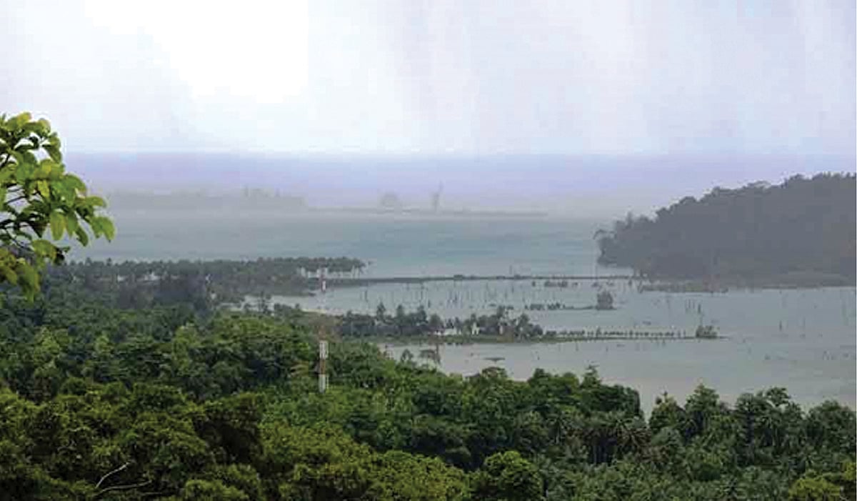 Representative image