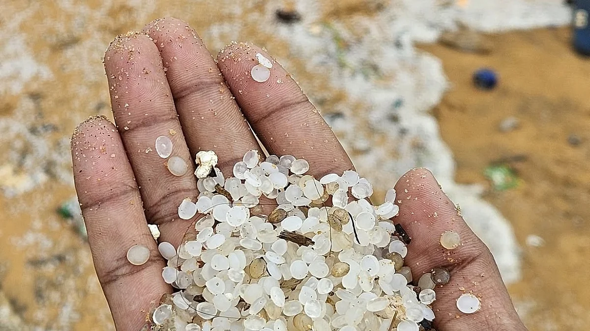 Nurdles littering the beaches of Kerala from the Liberian ship that sank