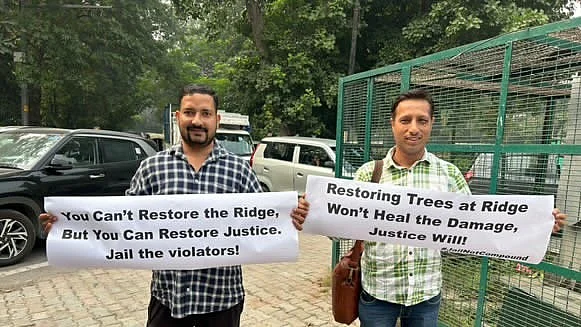 Citizens protest, demanding jail time for tree felling on the Ridge