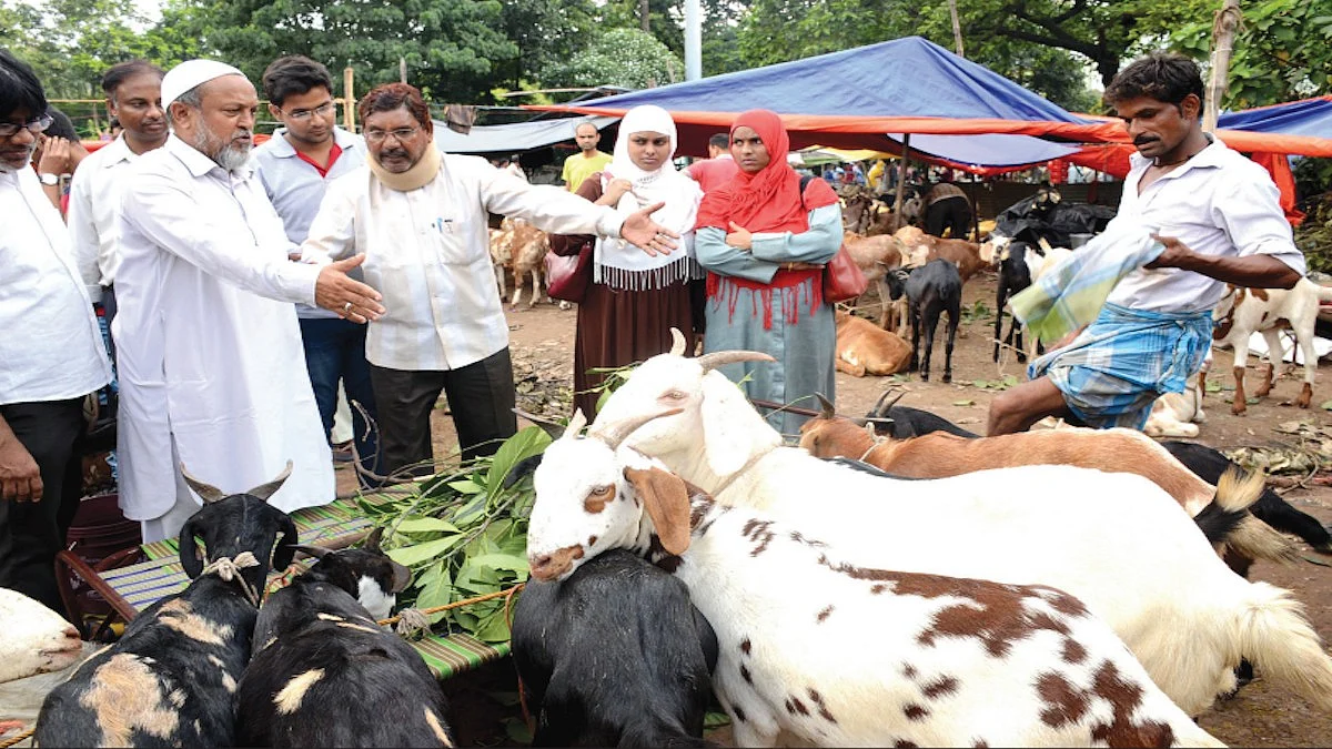 Goats for sale at a livestock farmers' market; Muslim buyers negotiate prices (representative image)