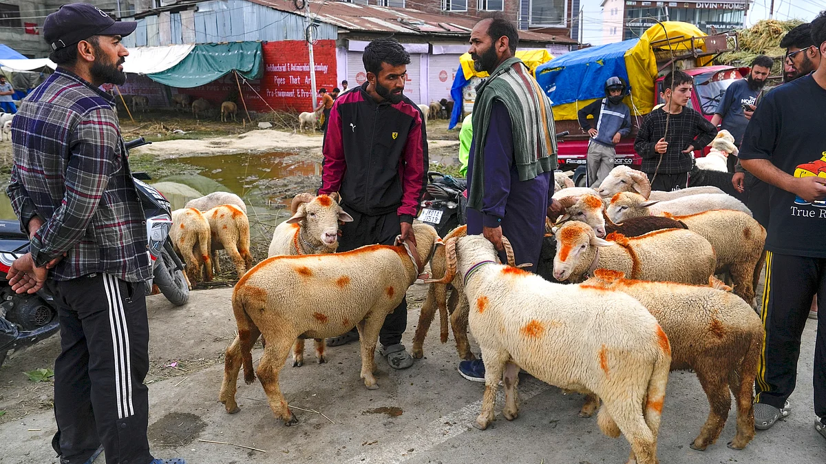 Customers at a makeshift livestock market ahead of Bakra Eid in Srinagar 