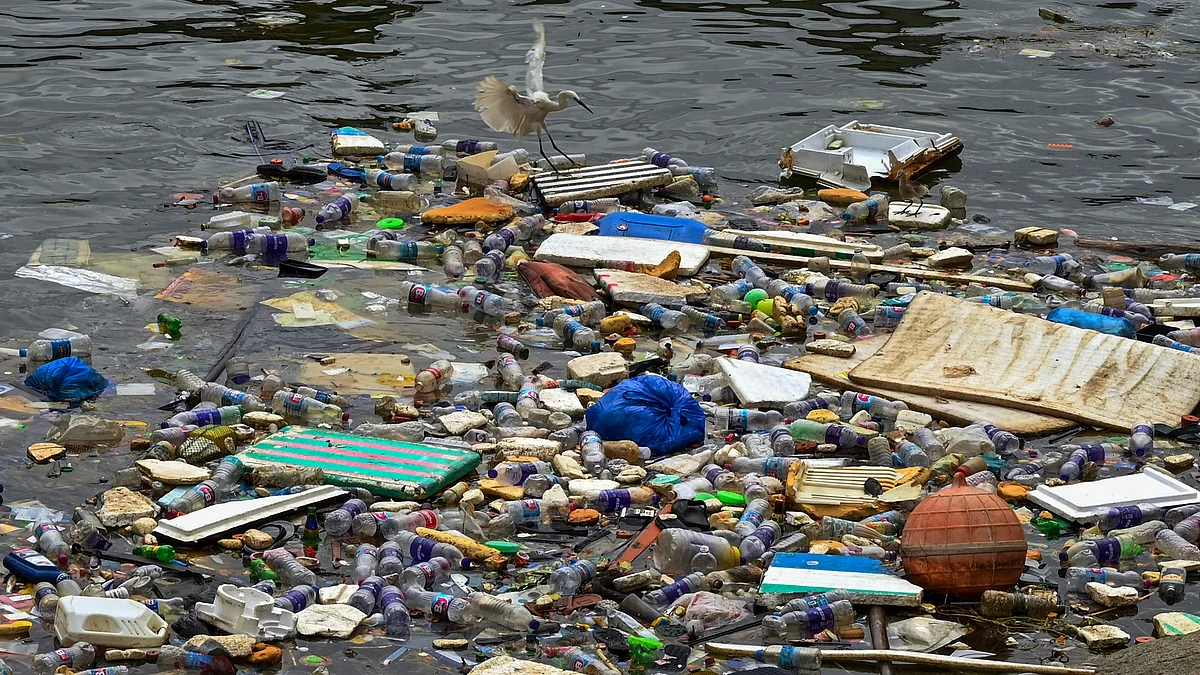 An egret lands on plastic waste afloat near Vizhinjam Fishing Harbour, Thiruvananthapuram, Kerala 