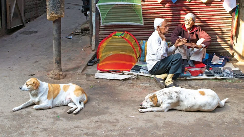 Dogs have been inseparable from humans for ages