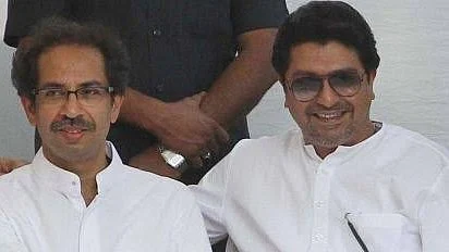 In less estranged times: Uddhav and Raj Thackeray (file photo)