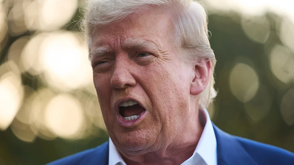 Donald Trump at White House on 24 June (photo: AP/PTI)