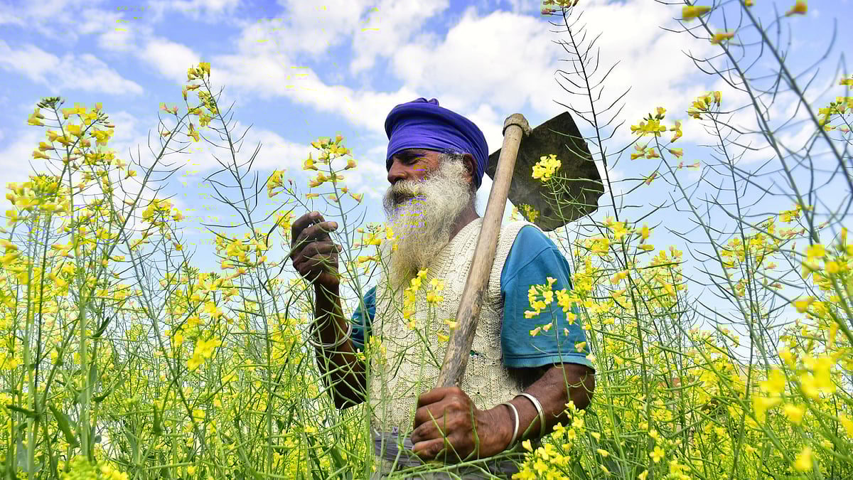 GM trade-off: Is India prioritising US farmers over its own?