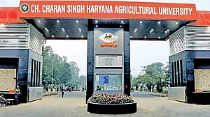 Haryana: Students’ unrest and caste assertions