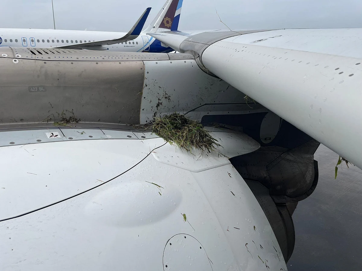 Hay on the aircraft engine cowl following the incident (photo courtesy: CSMIA)