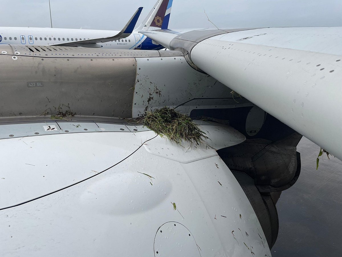 Hay on the aircraft engine cowl following the incident (photo courtesy: CSMIA)