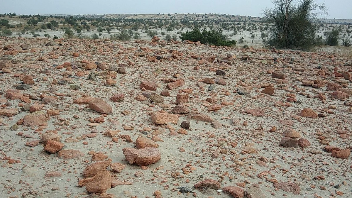 Another Thar site some argued a few years ago was Harappan, but had been plundered (representative image)