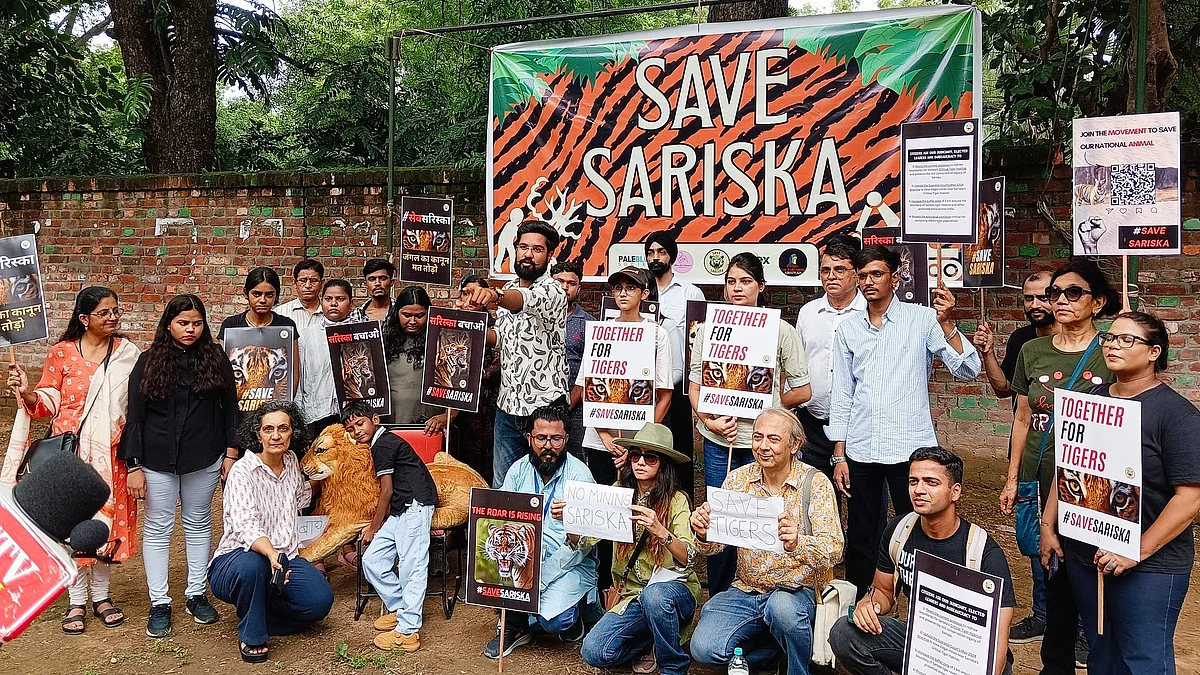 The protest to save Sariska (photo: @guptadas_anando/X)