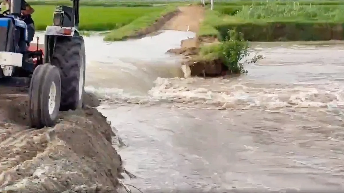 Video screengrab of the rising Sutlej