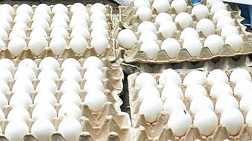 A consignment of eggs from Tamil Nadu