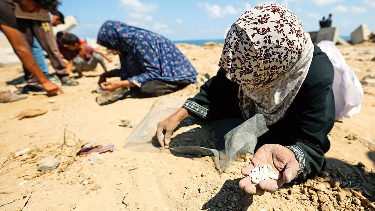 Palestinian women sift the sand for foodgrains after aid is airdropped into Gaza