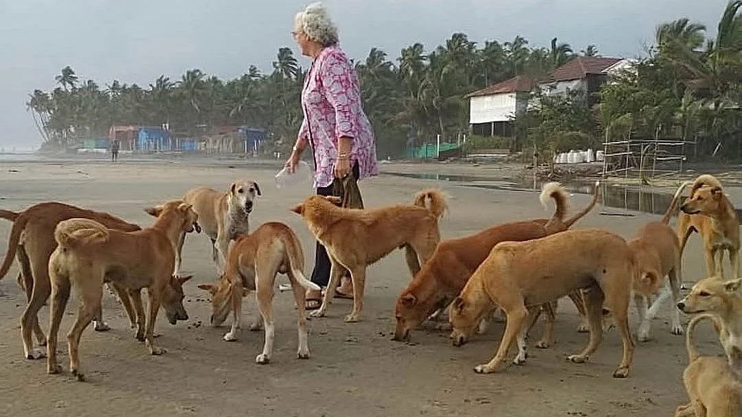 Nafisa Ali with stray dogs