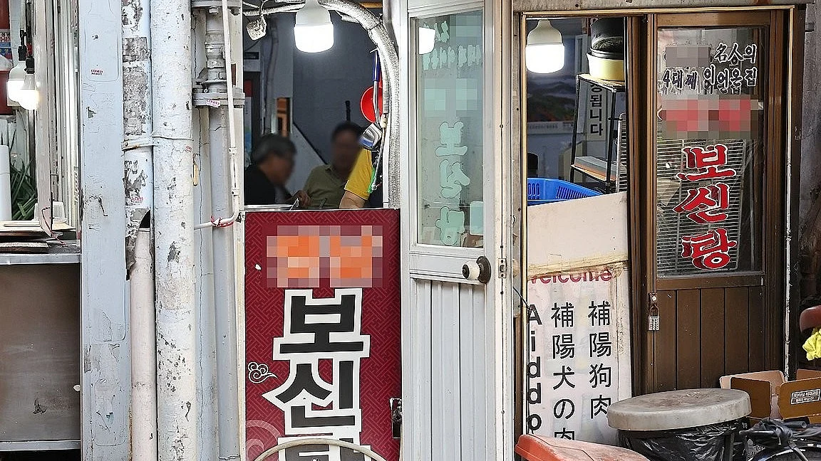 A dog farm in South Korea