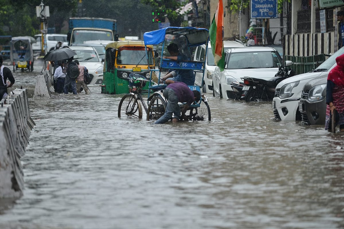 As Delhi rain death toll climbs to 20, mayor busy with another meat ban