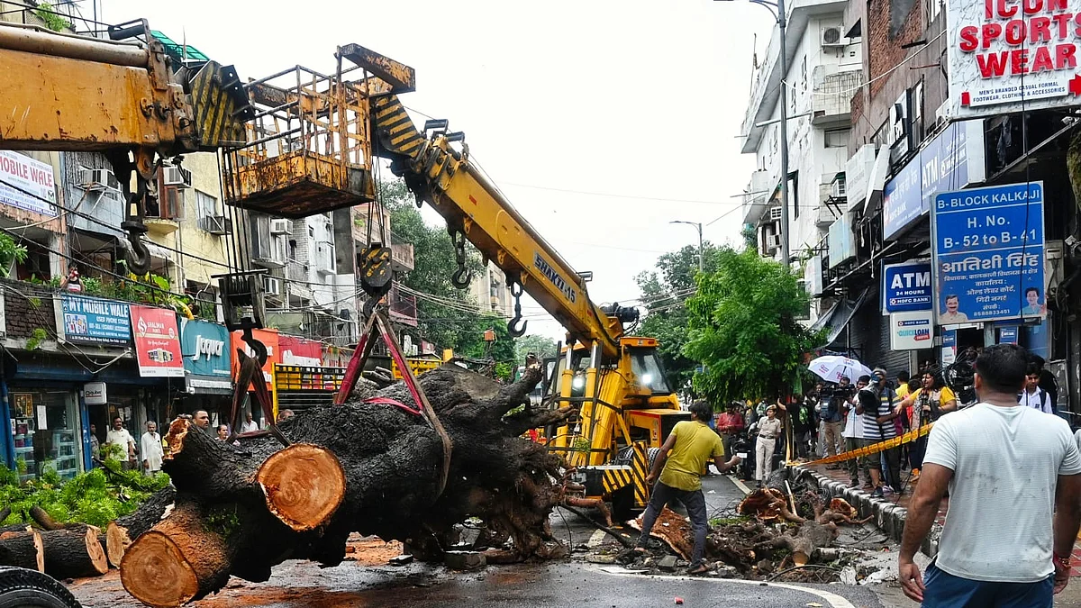 The fallen tree being removed in Kalkaji 
