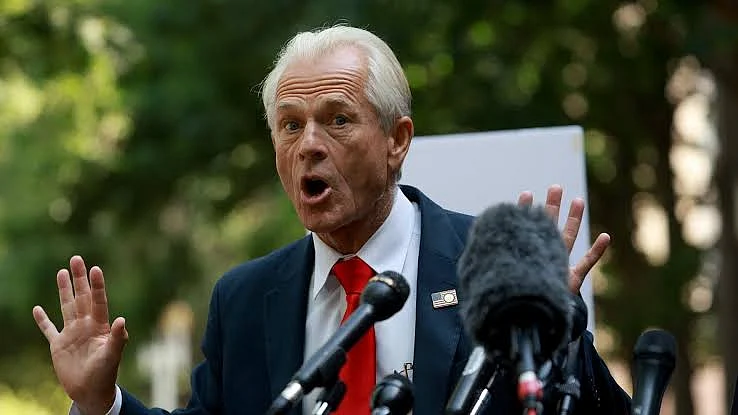 White House trade adviser Peter Navarro