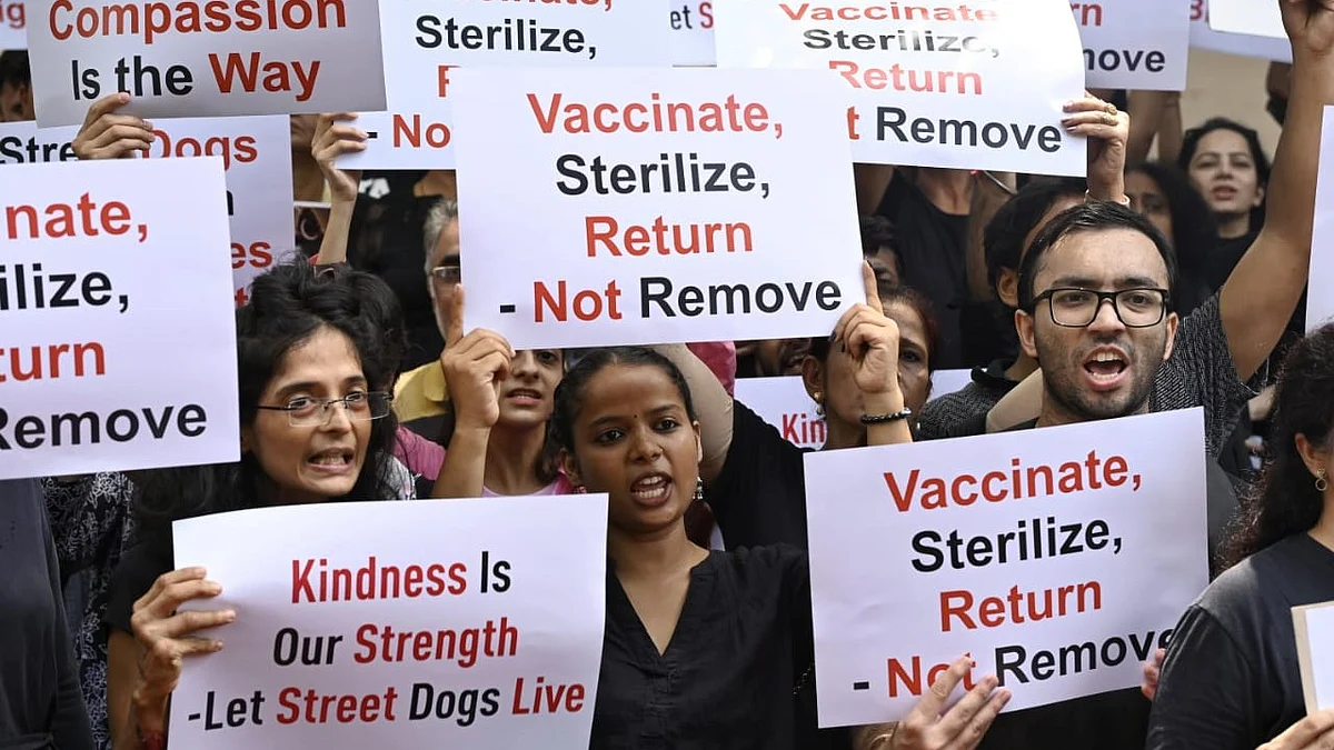 Finally heard: Delhi's animal activists protesting on behalf of street dogs (not 'strays')