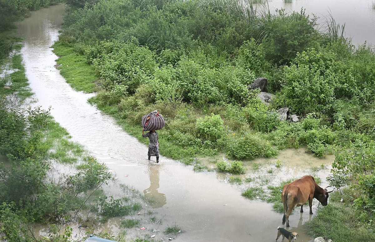 Delhi floods: Deluge as Yamuna displaces families, submerges fields