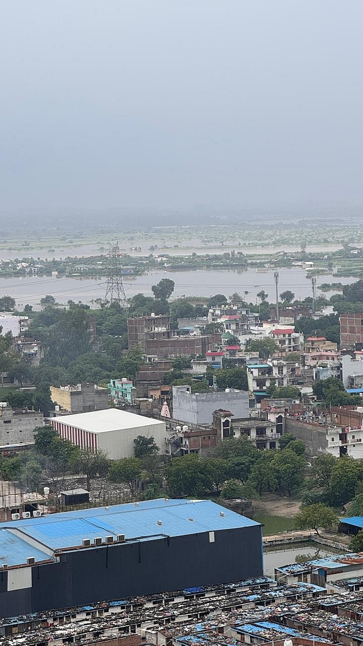Just metres away from the Hindon's upsurge, the Yamuna invades the fields and villages on its plains in Sector 149
