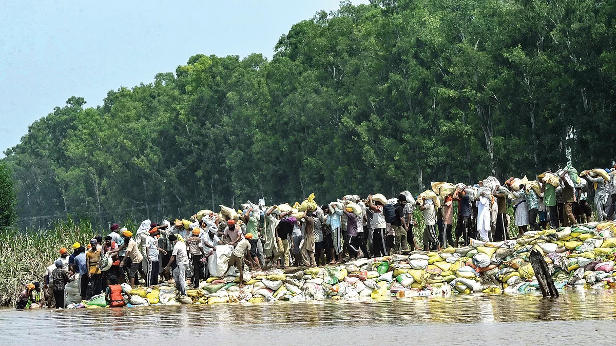 Villagers build an embankment along the river Ravi at Ghonewala village in Amritsar, 8 September
