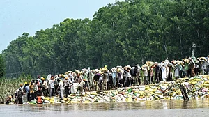Punjab: When floods laid bare the failure of the state
