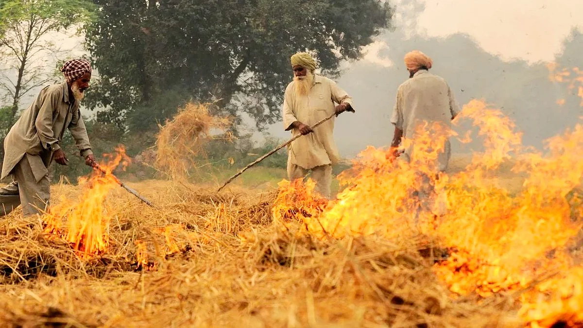 Last year, the bench summoned the chief secretaries of Punjab and Haryana over the issue