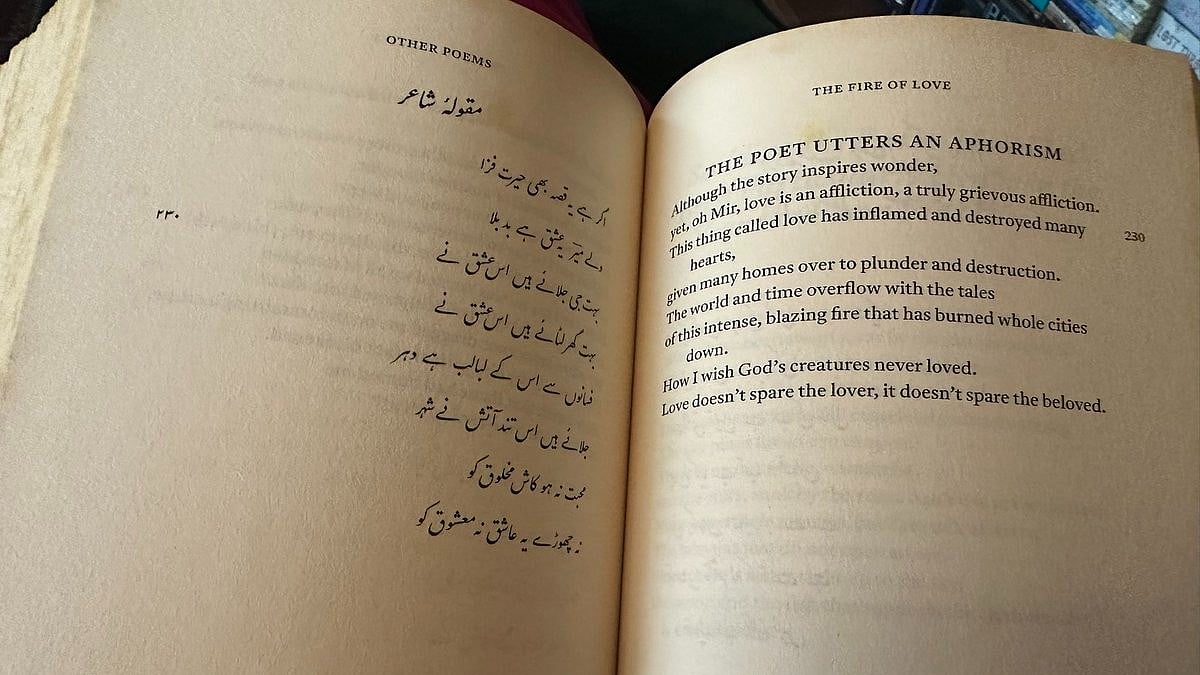 "How I wish God's creatures never loved / Love doesn't spare the lover, it doesn't spare the beloved"