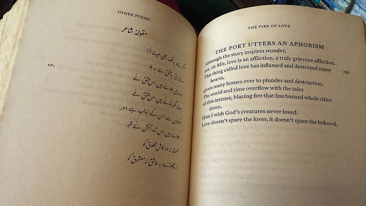 The Poet Utters an Aphorism: from the works of Mir Taqi Mir