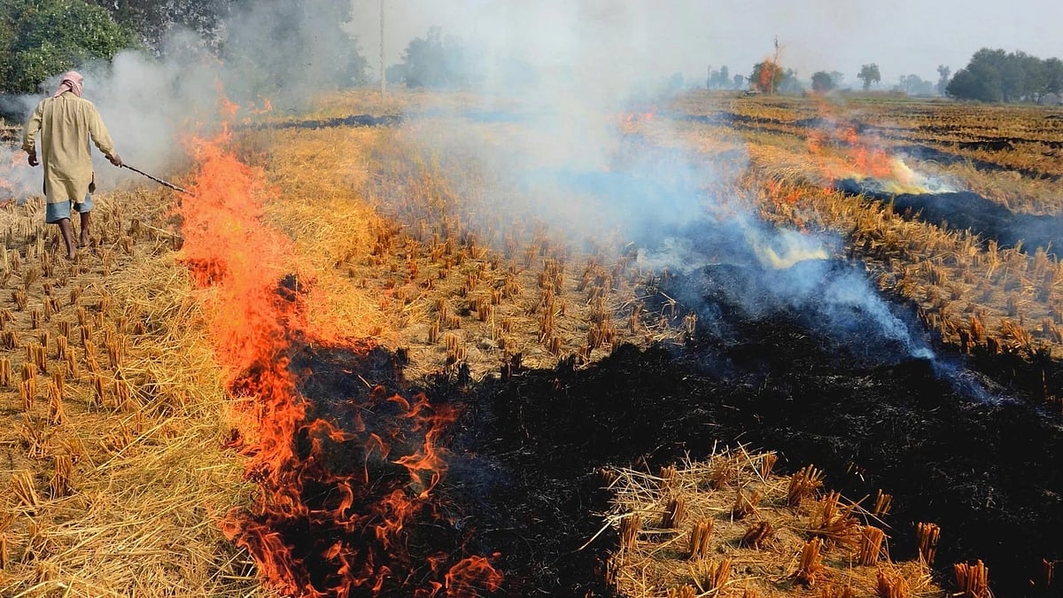 A farmer burns paddy stubble on the outskirts of Amritsar