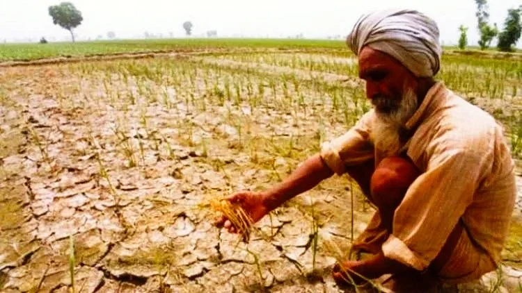 NCRB report 2023 indicates one farmer suicide in India every day