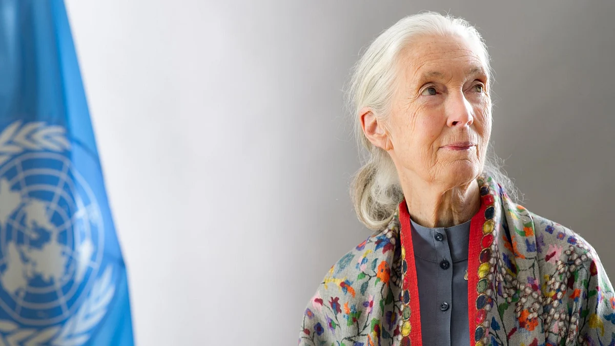 Jane Goodall’s connection with India was both personal and profound.