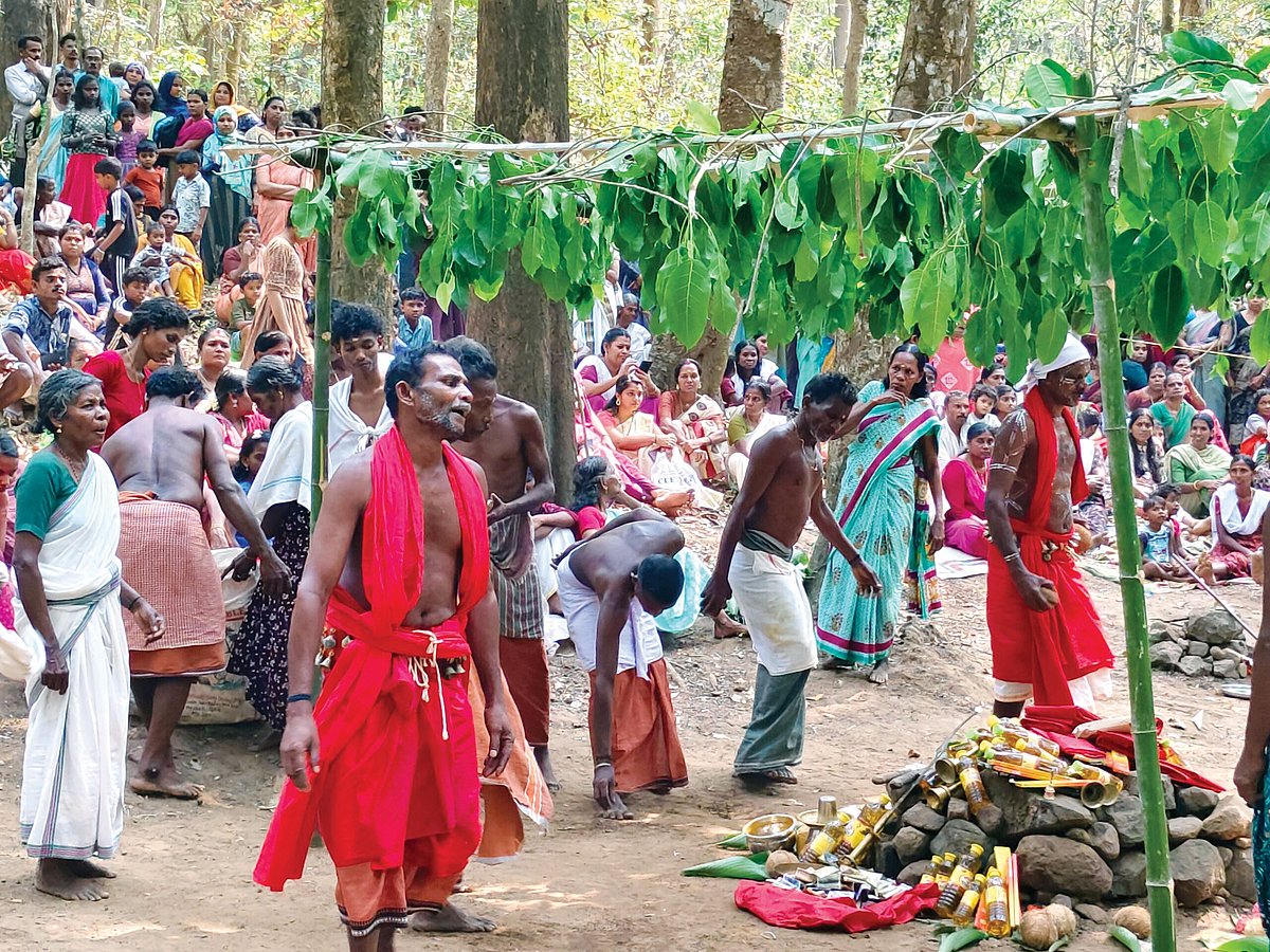 Modern life in Nilambur