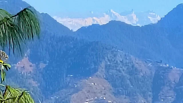 View of the Greater Himalayas from the author's cottage in Puranikoti, Shimla
