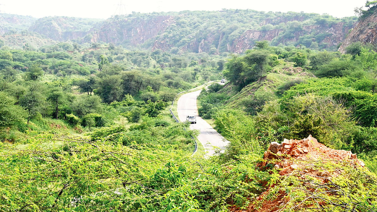 The lungs of one India's driest regions