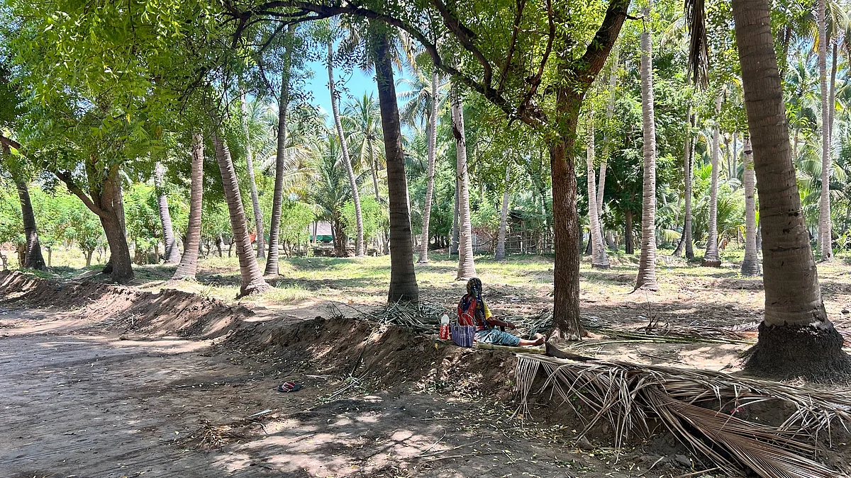 ‘Before the Ganga, there was the Vaigai’