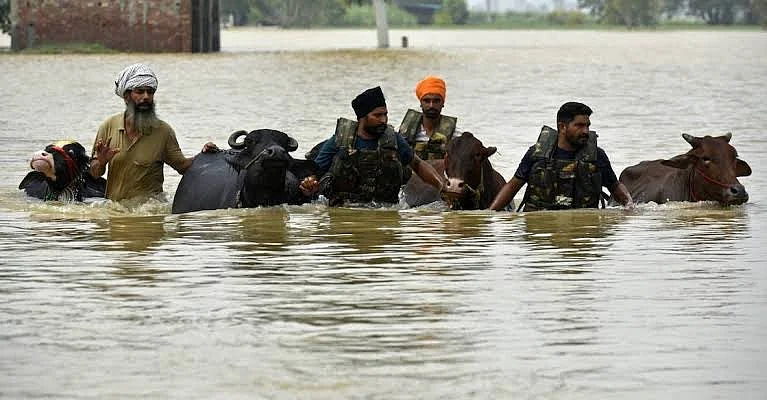 From floodwaters to fever: Punjab battles a fresh epidemic
