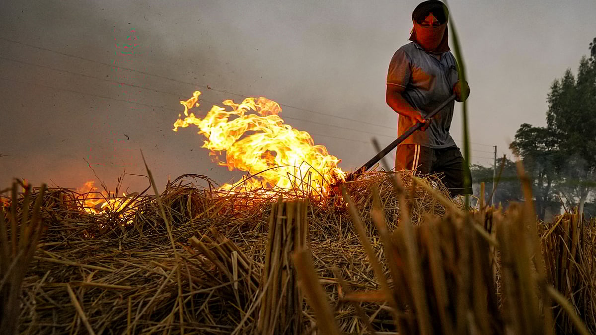 A farmer sets fire to paddy stubble in Amritsar.