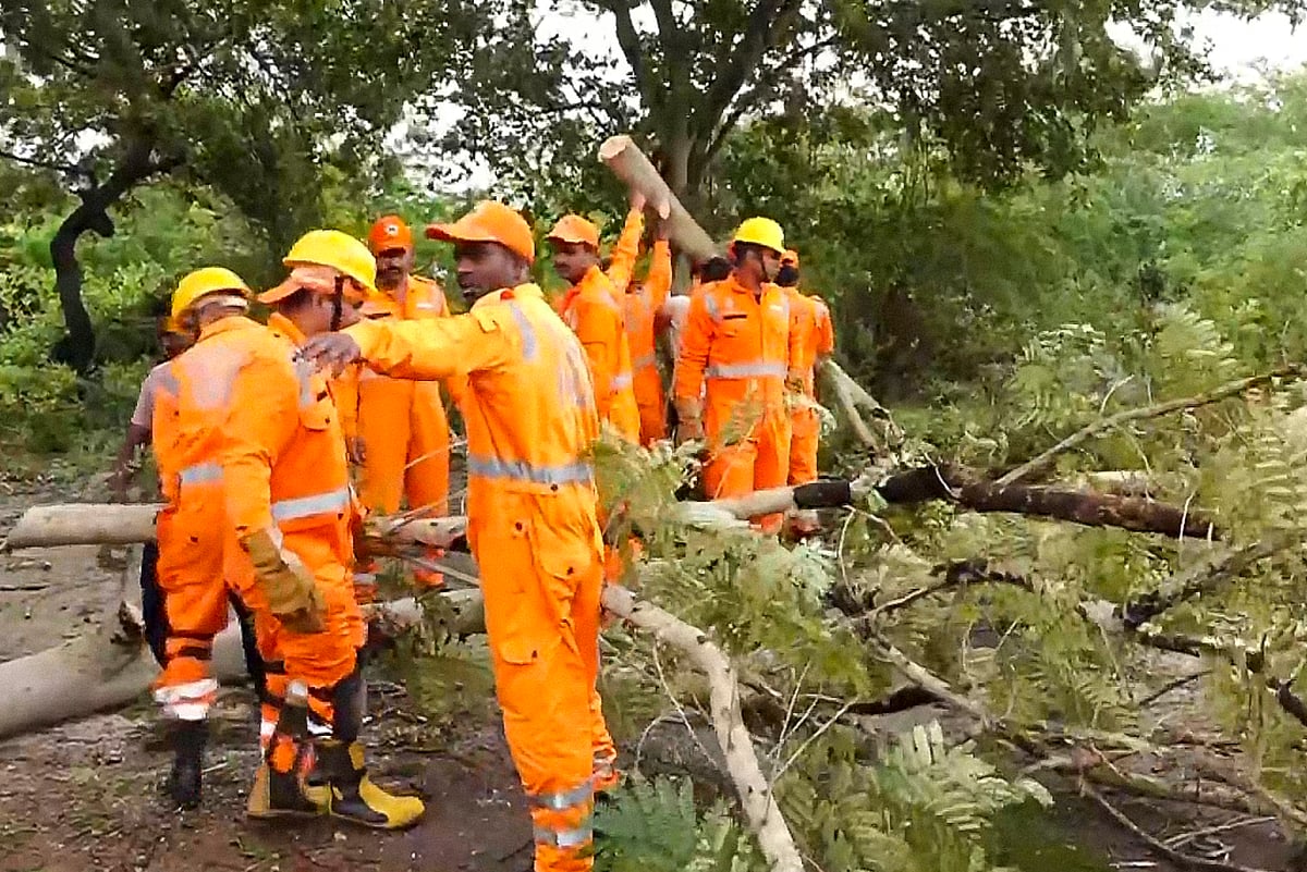 NDRF personnel remove uprooted trees following rains and strong winds.
