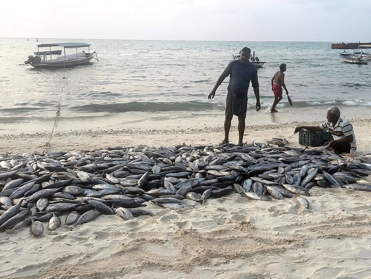 Rising fuel costs and longer trips make the traditional method of fishing less viable