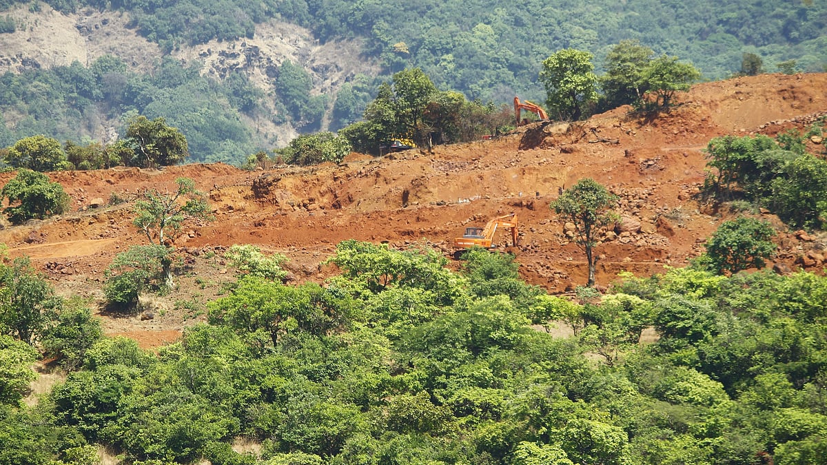 Madhya Pradesh: Over 1.24 lakh trees to be felled for Mhow–Khandwa rail upgrade