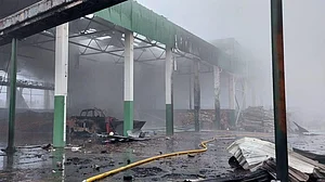 Ukraine’s first major biomass power plant came under attack.