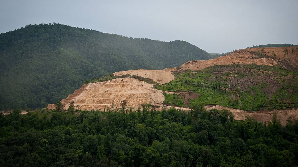 Supreme Court bans mining within 
1 km of all national parks, wildlife sanctuaries