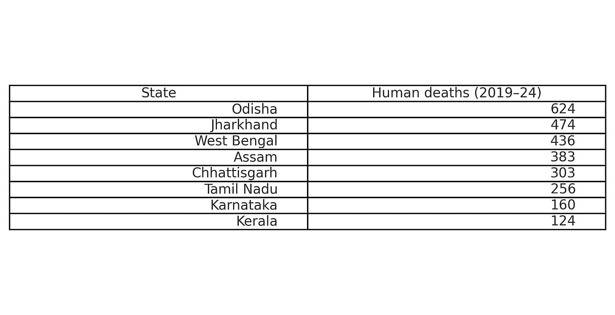 Farmer trampled in Andhra, spike in human–elephant conflict across India