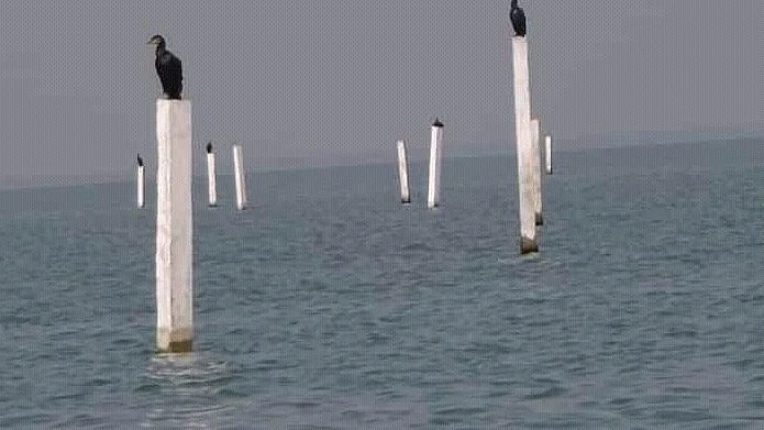 Representational image